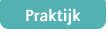 Praktijk